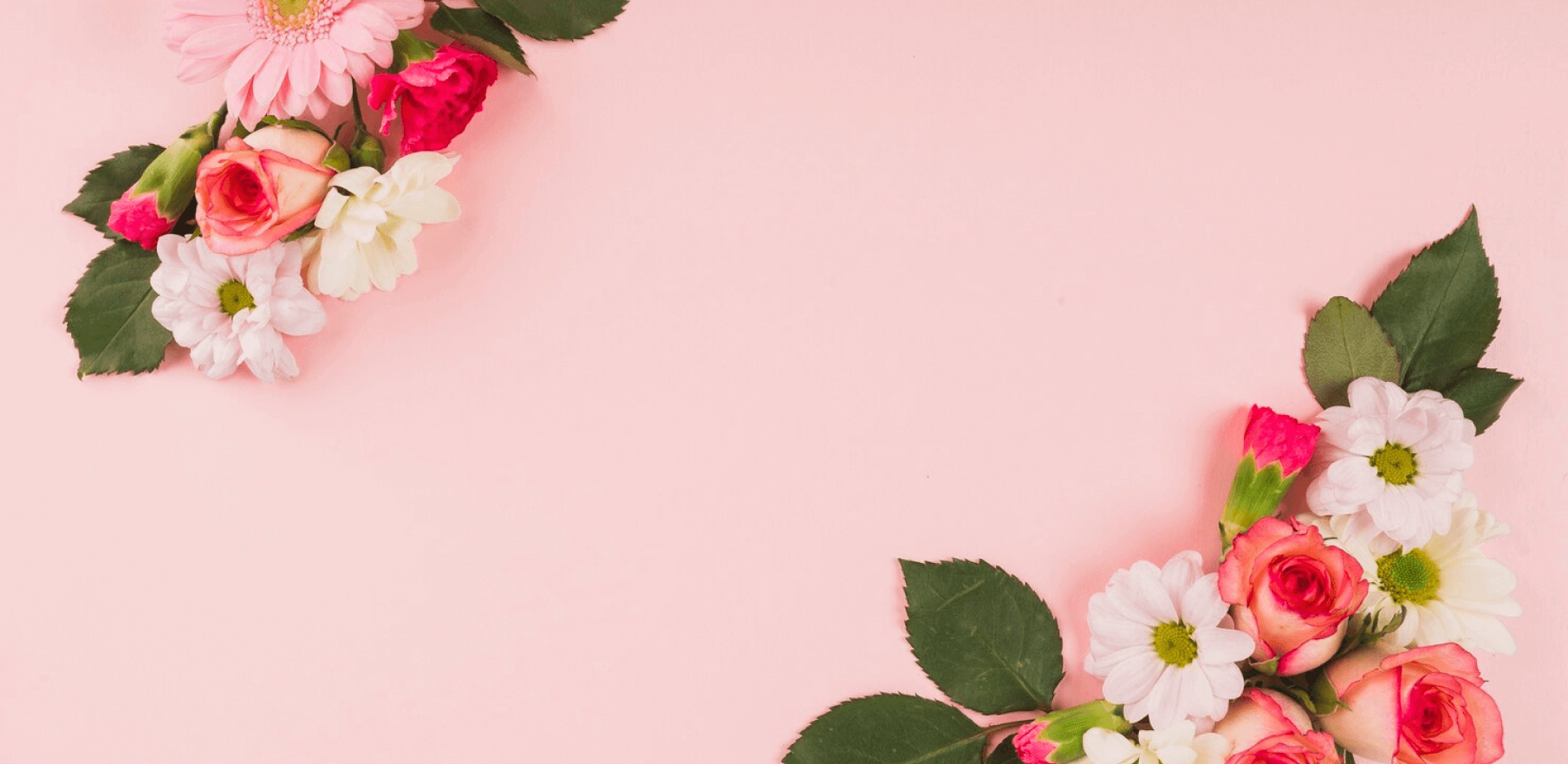 The Beauty Petals